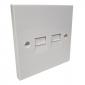 BT Secondary Socket Twin Faceplate 4/3A
