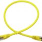 Cat6 Patch Cable RJ45 Shielded FTP